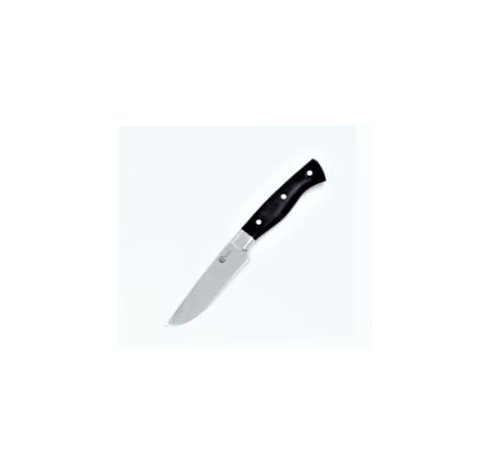 Нож кухонный Овощной-2 AUS-8, G-10